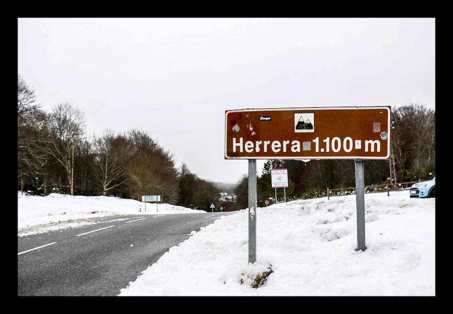 El puerto de Opakua ha permanecido cerrado durante las primeras horas del día, mientras que los camiones y vehículos articulados no han podido circular por el de Herrera