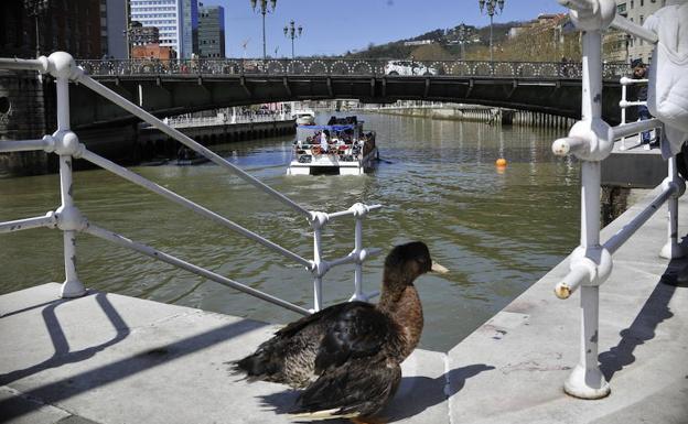 Barco surca la ría bajo el Puente de Deusto. 