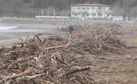 Los restos de árboles y basura se acumulan en Ereaga.