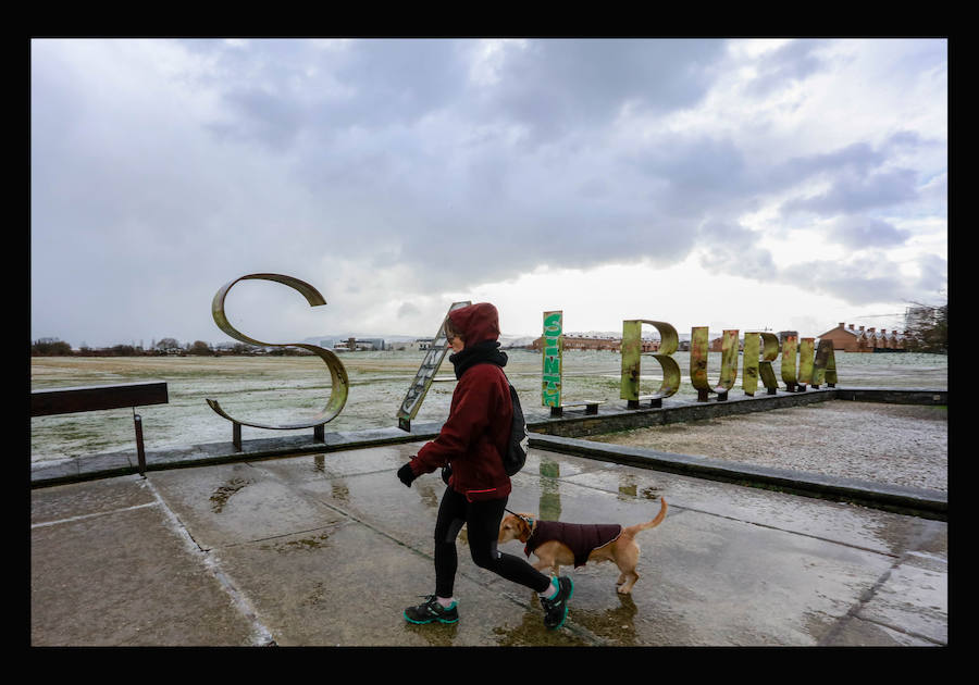 Una mujer camina junto a su perro por las inmediaciones del parque vitoriano de Salburua.