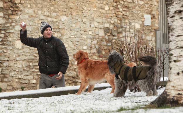 Grandes y pequeños no han perdido la oportunidad para jugar con la nieve.