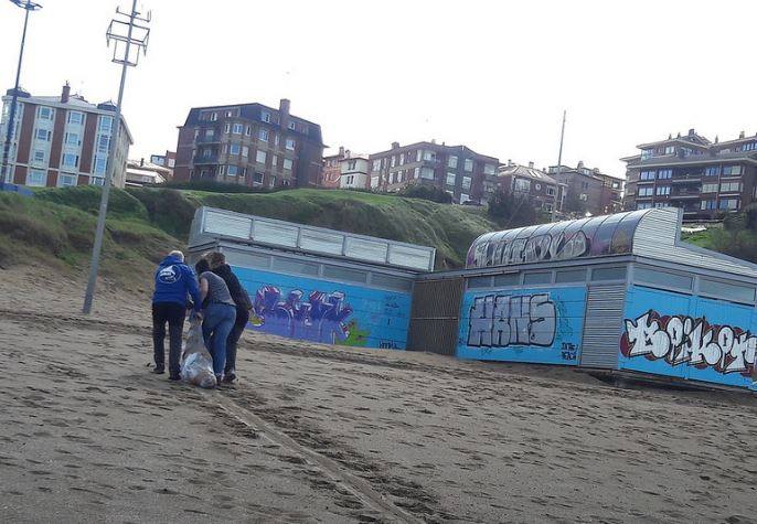 Una marsopa encontrada en Arrigunaga (Getxo) el 29 de marzo del año pasado.