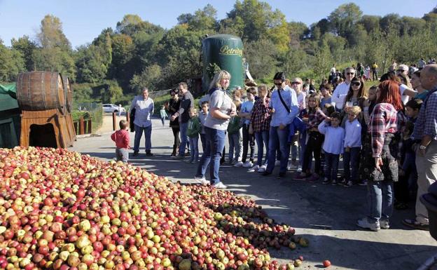 Visitantes en una jornada de recogida de fruta.