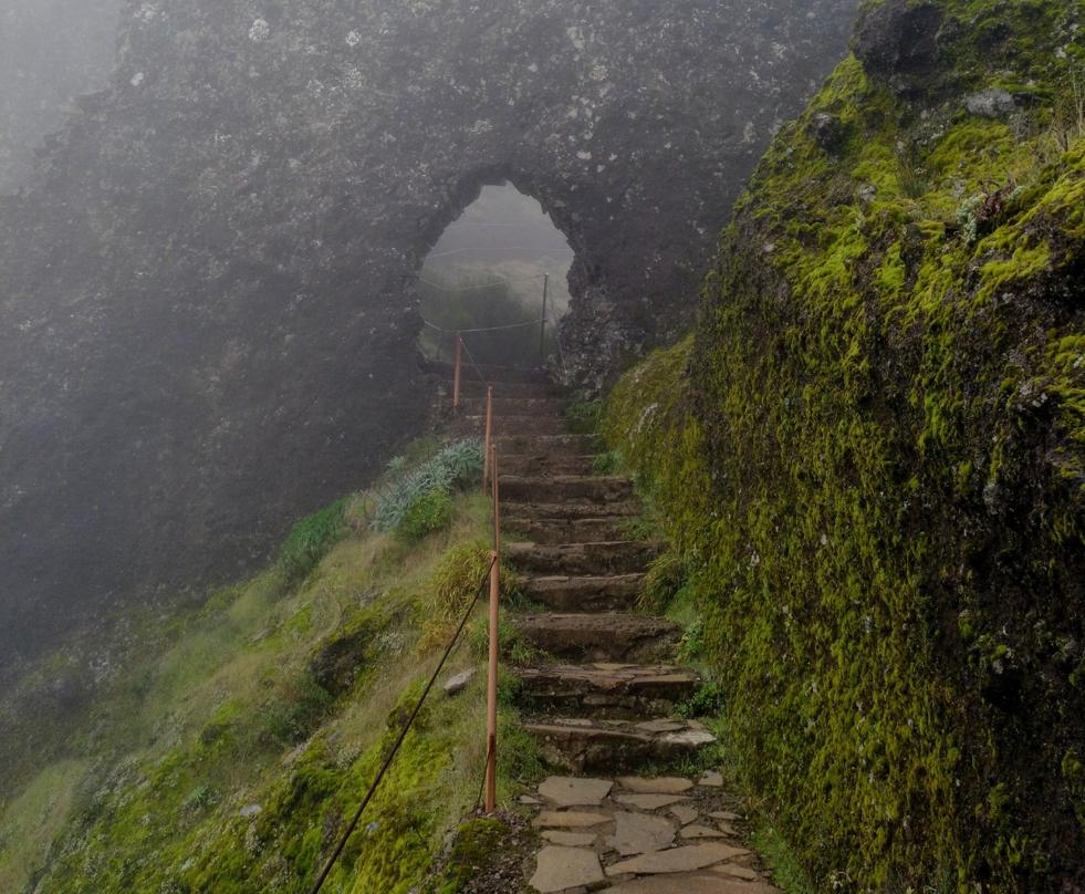 Madeira en invierno: seis joyas que no te puedes perder