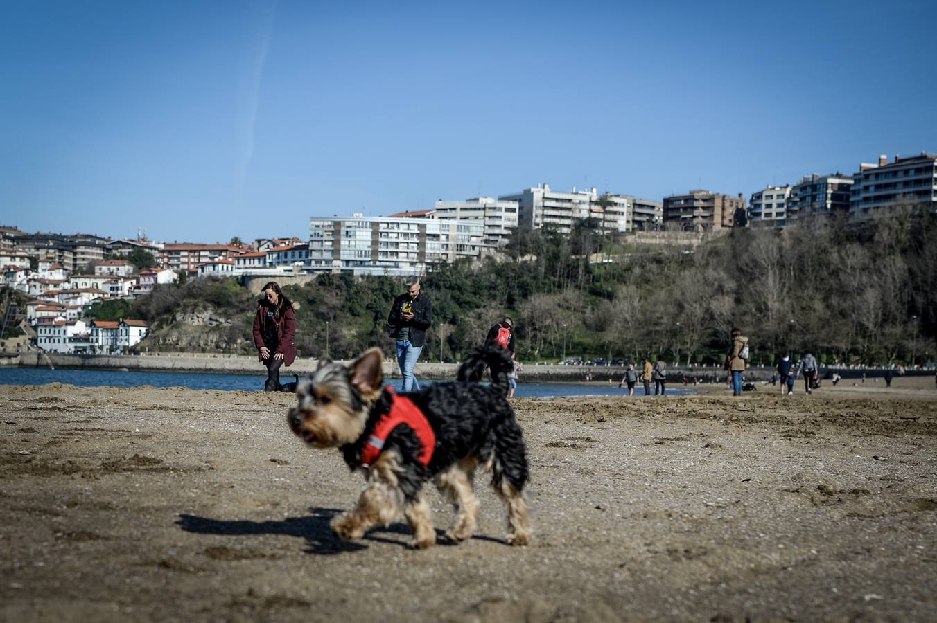El buen tiempo ha animado este sábado a muchos ciudadanos a pasear