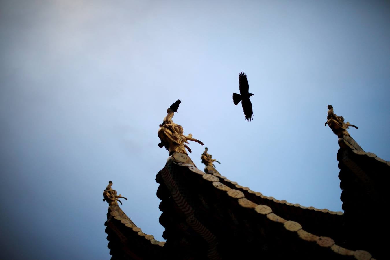 El primer mes del calendario lunar de cada año , miles de monjes tibetanos asisten a festival, también conocido como «el sol de Buda». En el, los monjes despliegan un thangka gigante, un bordado de seda religioso o una pintura que muestra el retrato de Buda, en medio de una nevada en Langmu Lamasery.