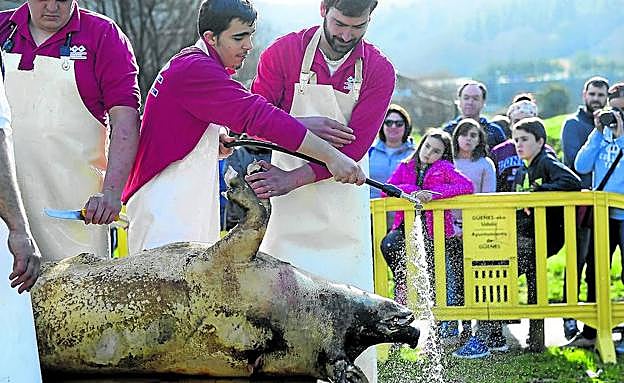 La cuadrilla del matarife Miguel Ángel García arrancó el proceso del despiece con el chamuscado y limpieza del chon.