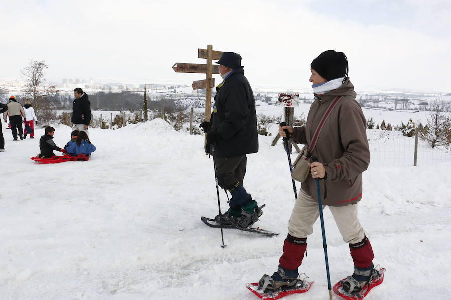 2015. Los vitorianos sacaron los esquíes y los trineos para disfrutar de la nieve. 