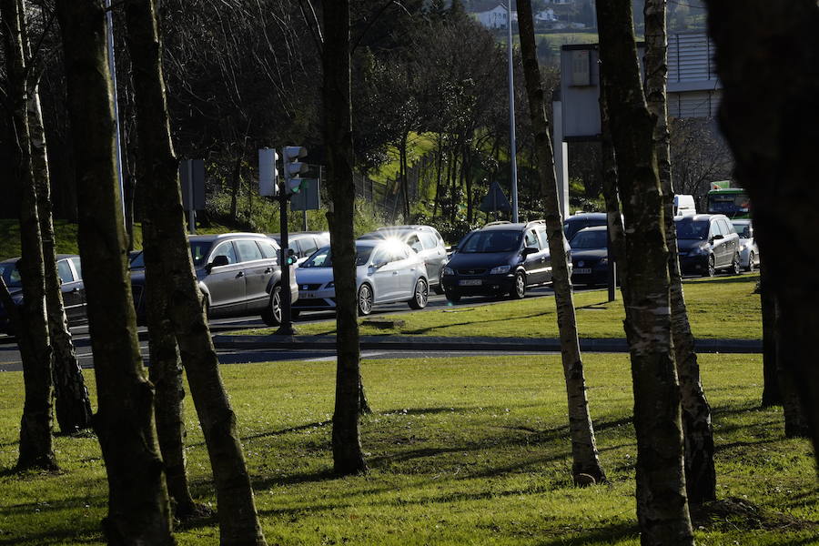 Fotos: Buen tiempo y polen en el veranillo de febrero