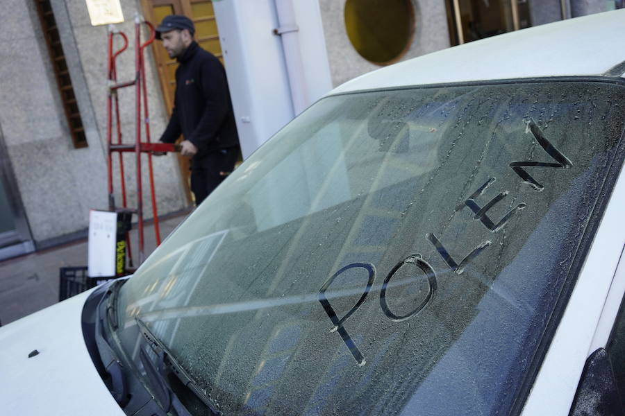 Fotos: Buen tiempo y polen en el veranillo de febrero