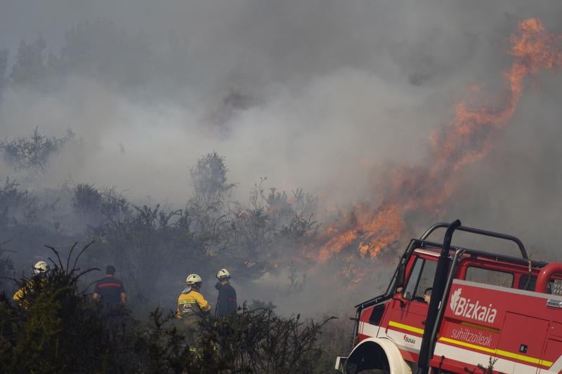 El viento sur y el calor ha favorecido la expansión de las llamas