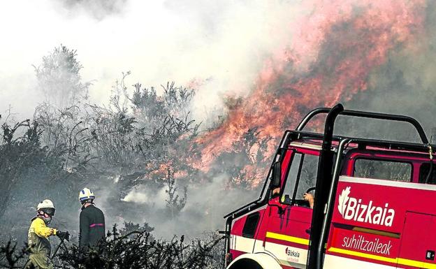 Efectivos de los Bomberos de la Diputación hacen frente al incendio que se desencadenó en Bedia, ayer por la mañana. 