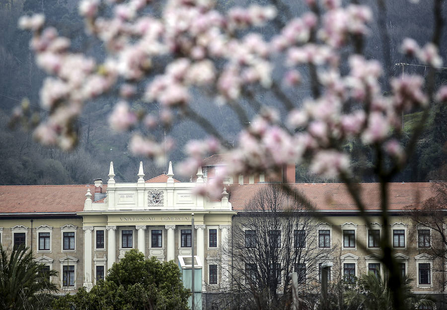 Flores frente a la Universidad de Deusto. 