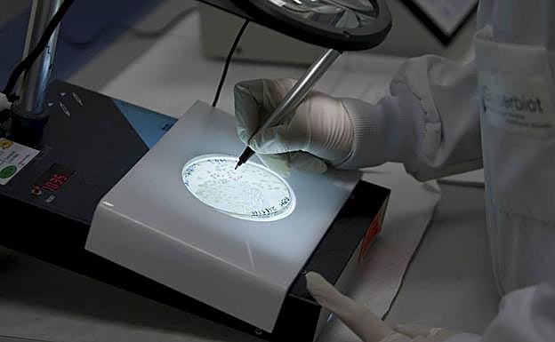 Minimizar los daños de la industria conservera