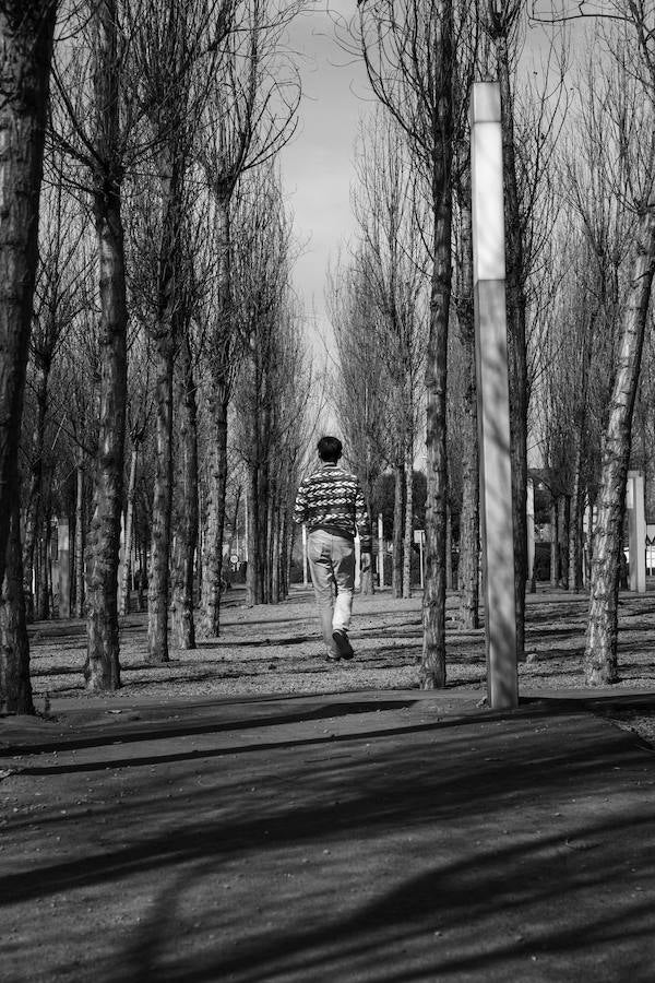 Finalista categoría 'Barakaldo, un entorno natural'. 'PASEO POR EL BOSQUE URBANO'. Autor: Fernando Herrero Castrillo