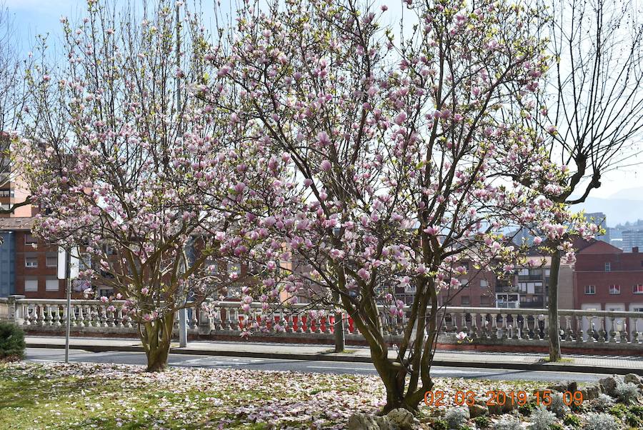 Finalista categoría 'Barakaldo, un entorno natural'. 'NATURALEZA PURA'. Autor: Mireia Dueñas Tardaguila