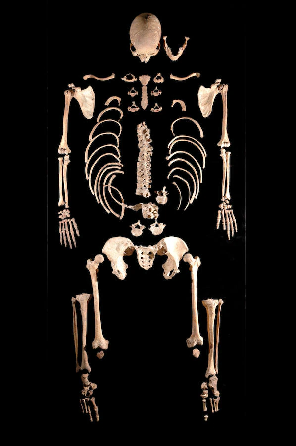 2. Esqueleto de uno de los hermanos de La Braña. Son los hermanos más antiguos detectados genéticamente.