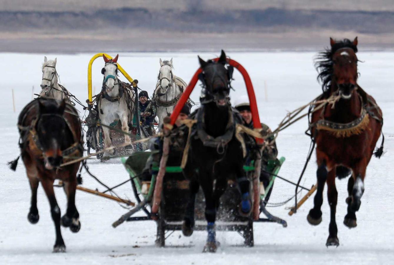 Carrera de troikas rusas sobre el rio Yenisei, en Novosyolovo, Rusia 