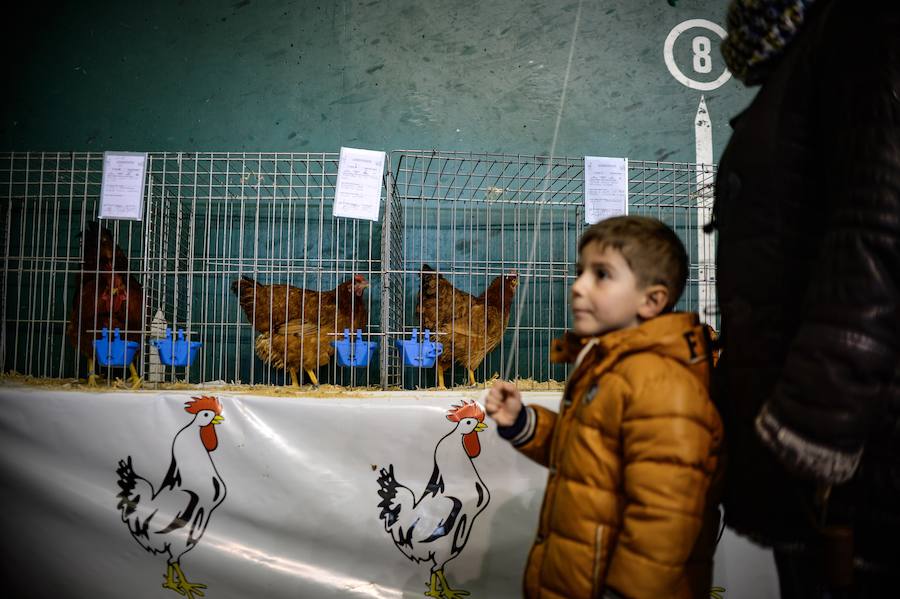 Concurso de perros, agricultura ecológica y talos en la tradicional cita de la localidad de la Margen Izquierda