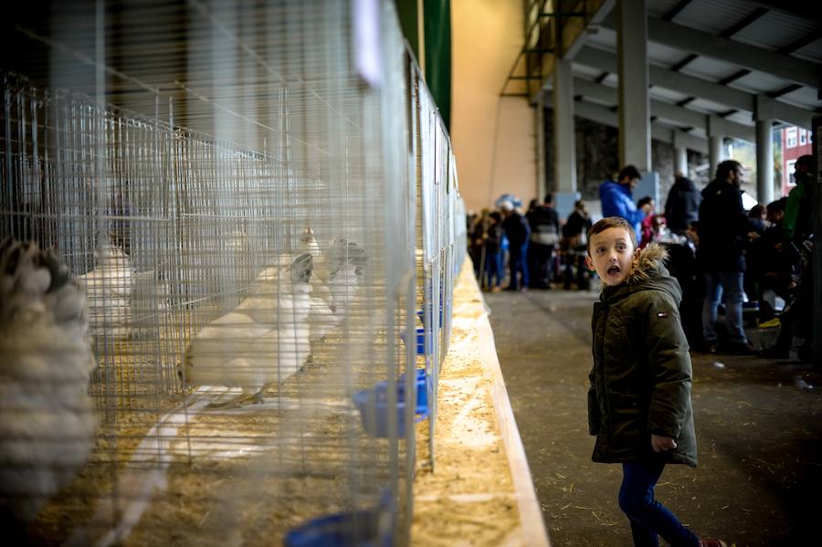 Concurso de perros, agricultura ecológica y talos en la tradicional cita de la localidad de la Margen Izquierda