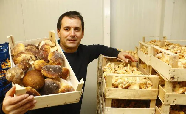 Félix Barcina se encuentra al frente de Basoan. 