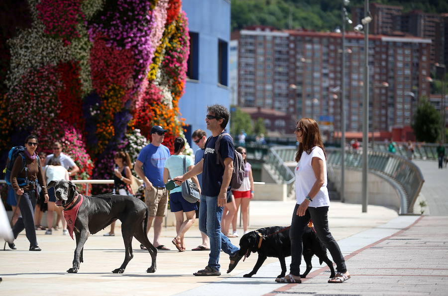 En el Guggenheim se juntan turistas, vecinos de la zona y hasta peregrinos que van camino de Santiago.