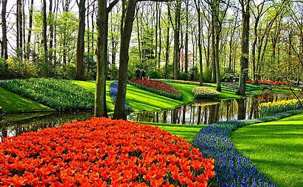Keukenhof. 