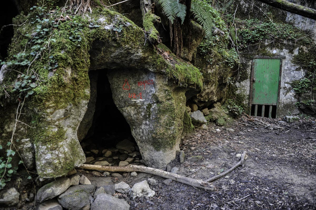 El sistema Nogales de cuevas, habitado por murciélagos, tiene el acceso restringido por seguridad.