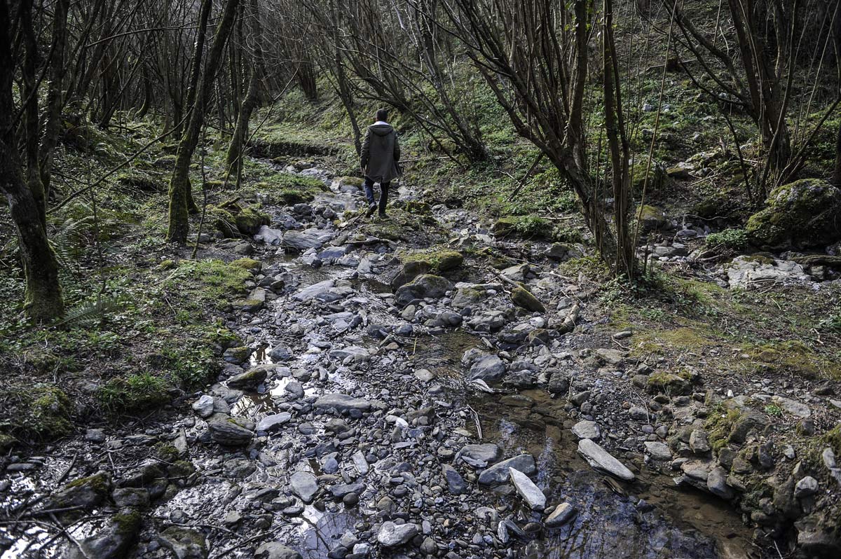 El Bointxu está formado por la confluencia de varios arroyuelos que brotan de los barrancos del Pagasarri.