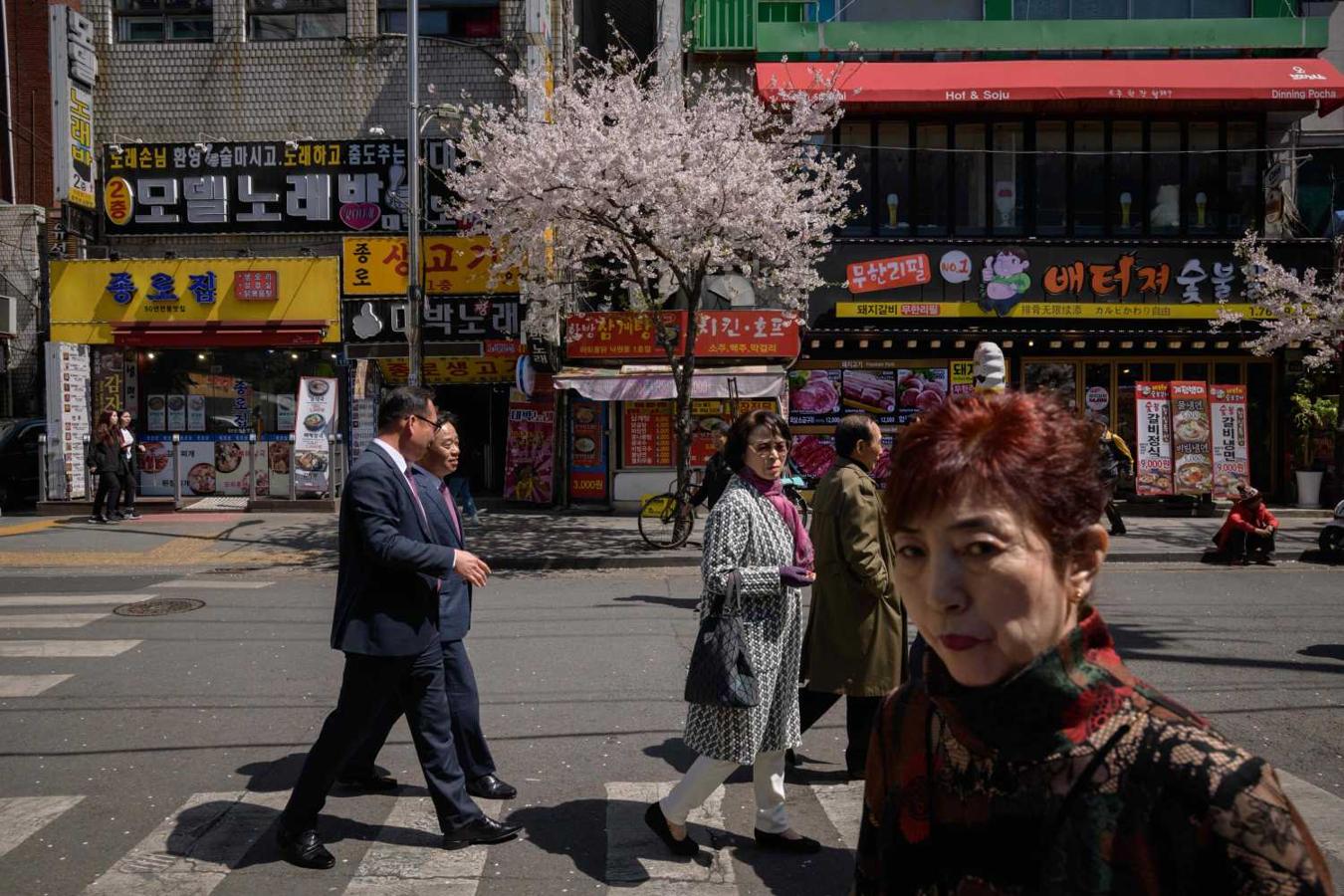 Peatones pasando ante un cerezo en flor en el centro de Seúl, Corea del Sur 
