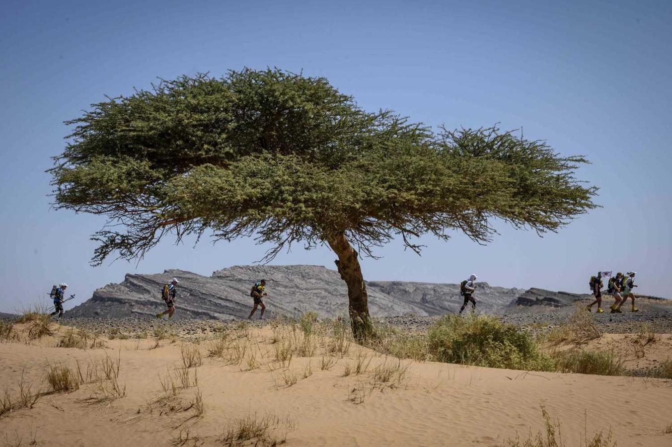 Participantes en la "Marathon des Sables" en el sur del desierto del Sahara en Marruecos