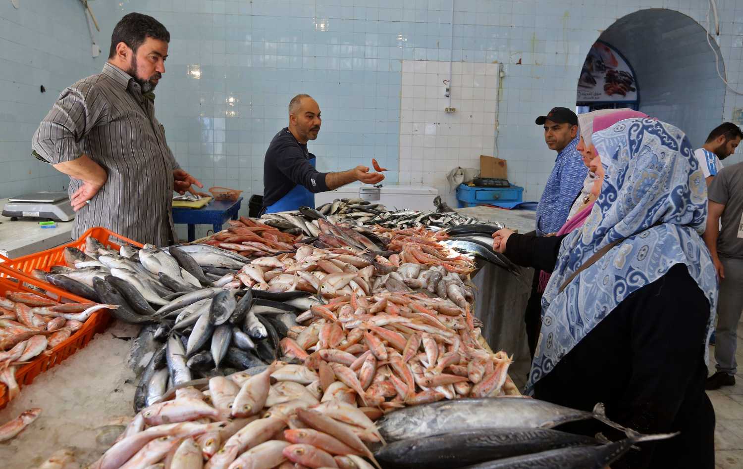 Libios comprando pescado fresco en un mercado en Trípoli