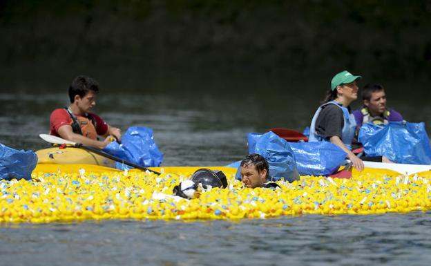 Una imagen del evento del año pasado, que tiñó la ría de amarillo.