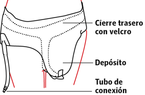 Orina y heces