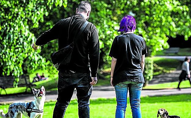 El número de mascotas lleva años creciendo en la ciudad.