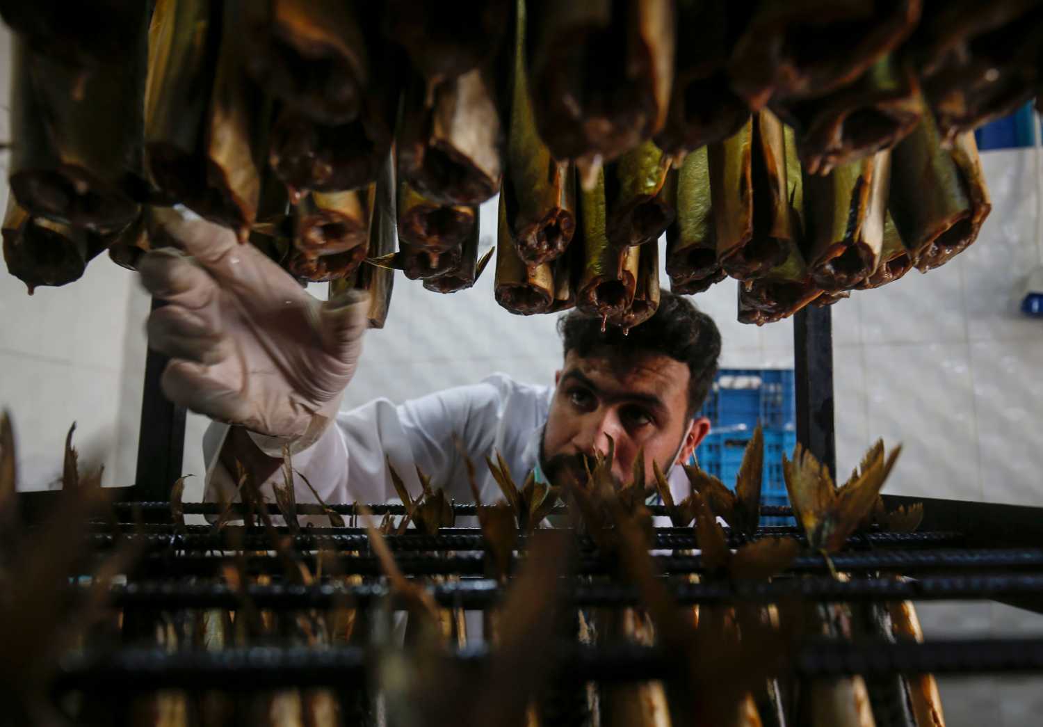 Un hombre palestino preparando caballas en el sur de la Franja de Gaza