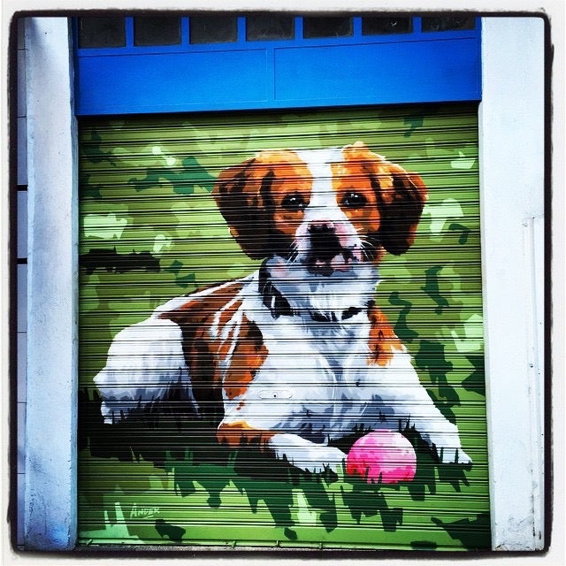 Este simpático perrito observa a los viandantes desde la persiana de una lonja de la calle Andalucía, en Arana.