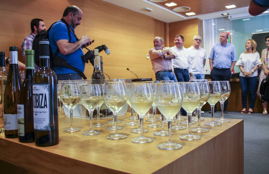 Fotos: Amurrio se sumerge en el Txakoli Eguna