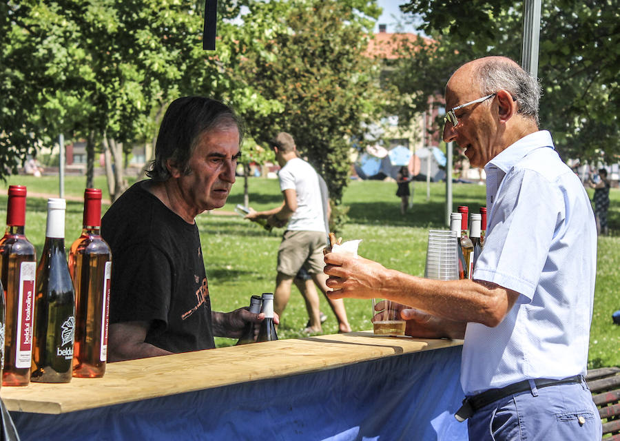 Fotos: Amurrio se sumerge en el Txakoli Eguna