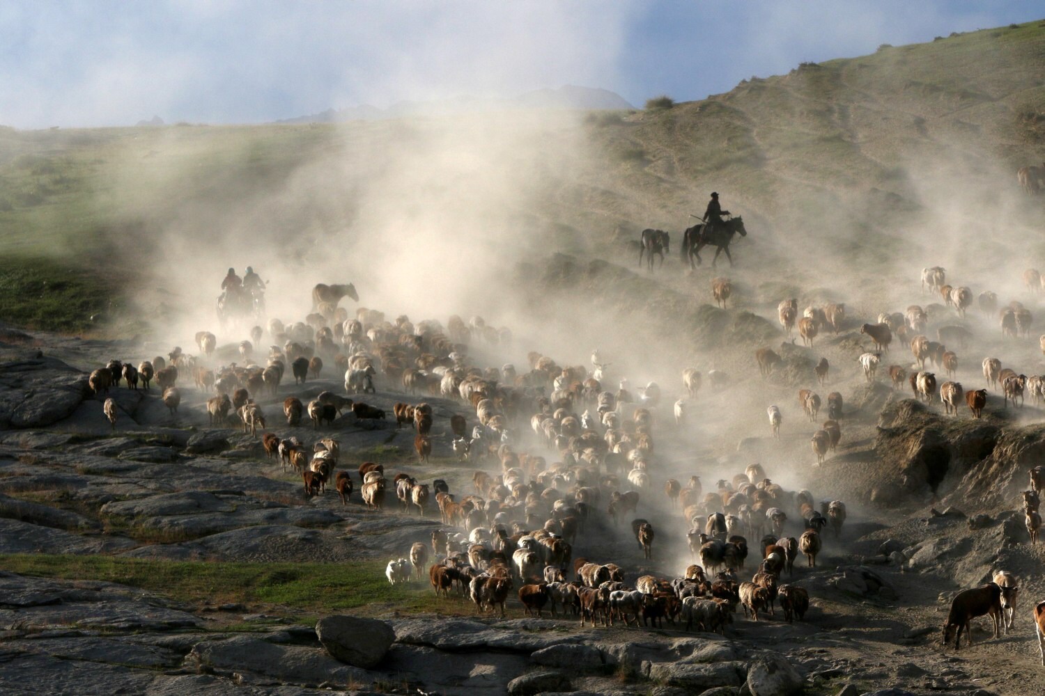 Pastores dirigen una manada de vacas, ovejas y cabras a medida que migran a las áreas de pastoreo de verano en una región montañosa en la Prefectura de Altay, región autónoma de Xinjiang Uighur, China