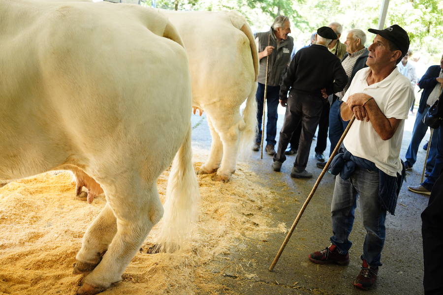 Más de un centenar de cabezas y 26 puestos agrícolas participan en el tradicional mercado