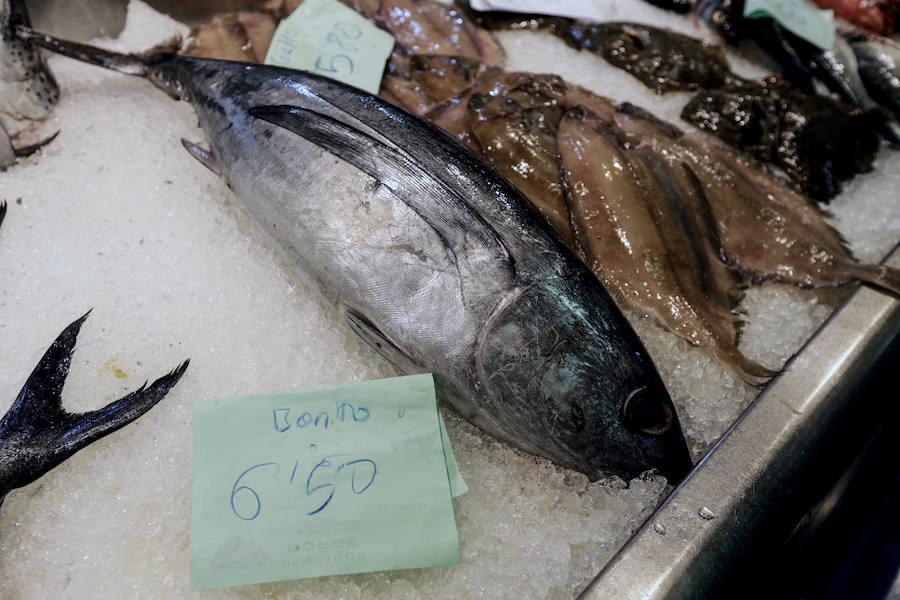 Los ejemplares, todavía de pequeño tamaño, eran colocados con mimo por los comerciantes