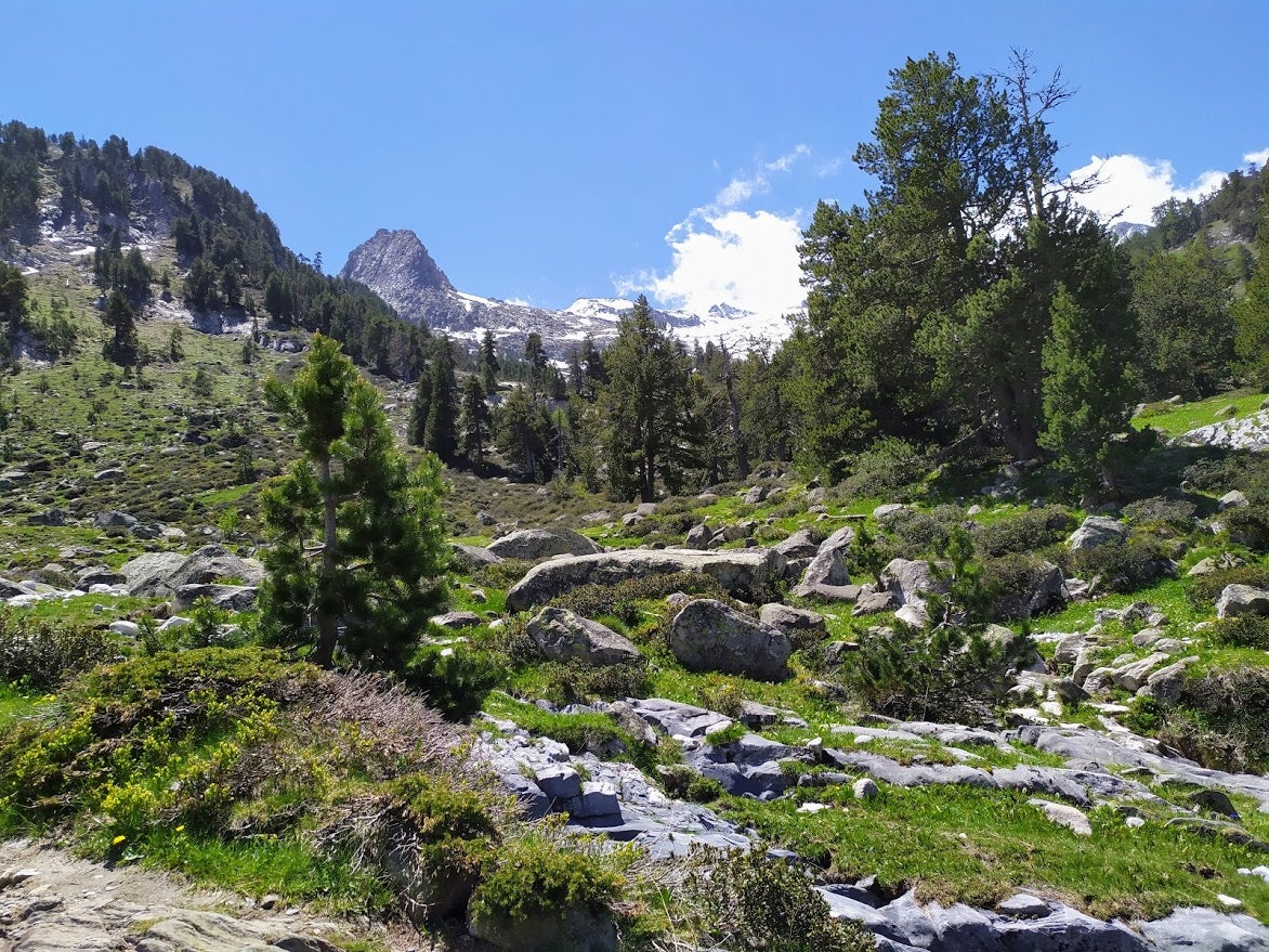 Vista de la subida desde la Besurta.