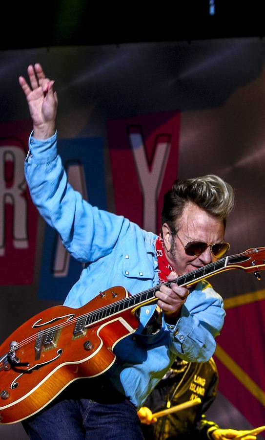 Fotos: The Stray Cats, la nueva vida de los gatos descarriados en Vitoria