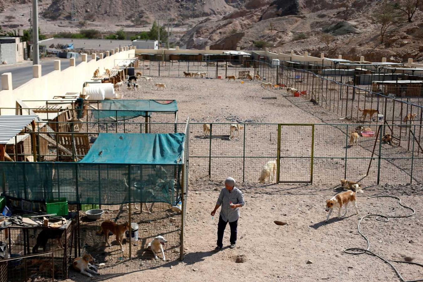 Rodica Athamneh, en la Sociedad Al Rabee para la Protección de la Naturaleza y los Animales, que fundó en Aqaba, Jordania