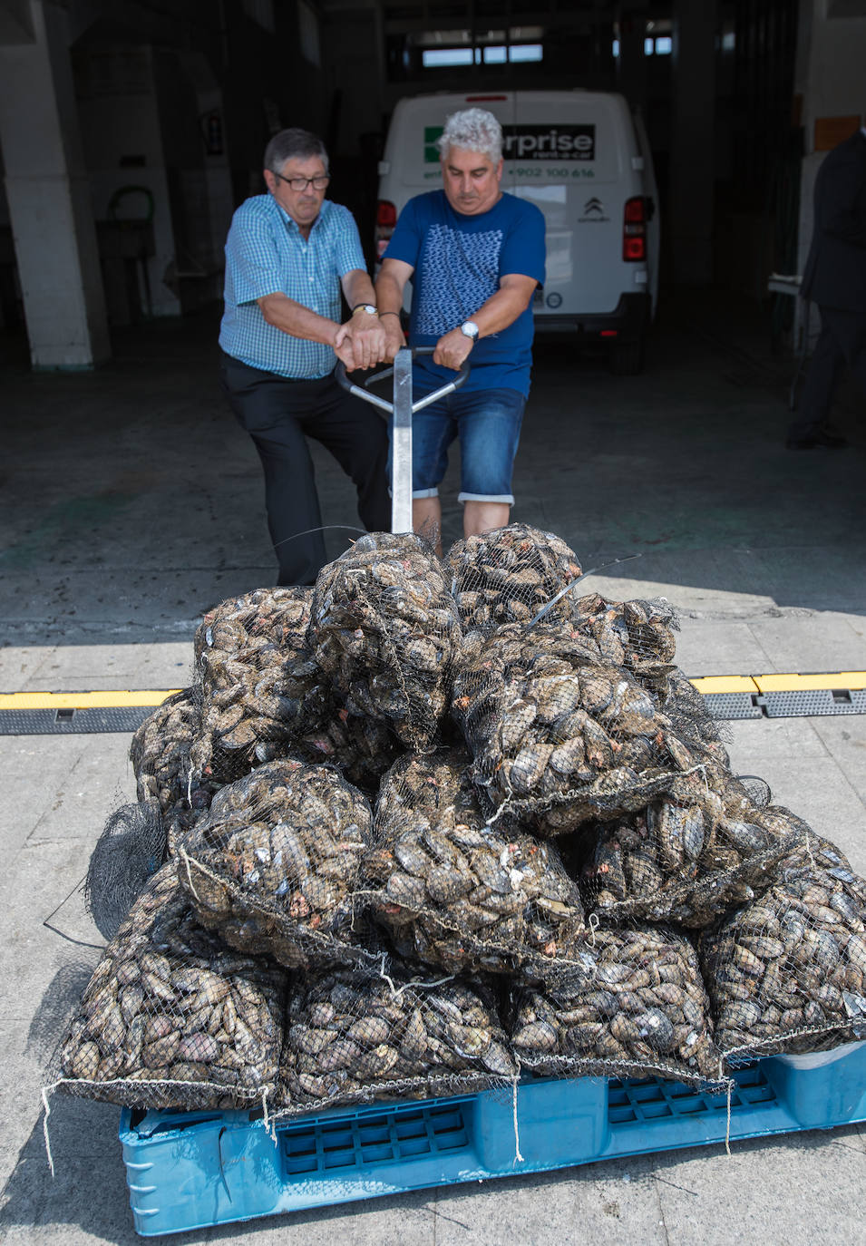 Así se denominará a este molusco que se producirá en la costa entre Onaddoa y Lekeitio