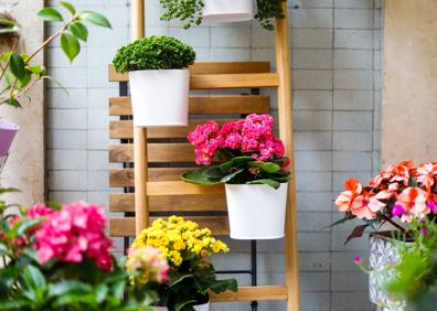 Imagen secundaria 1 - Sophe García disfrutando de su rincón 'green'