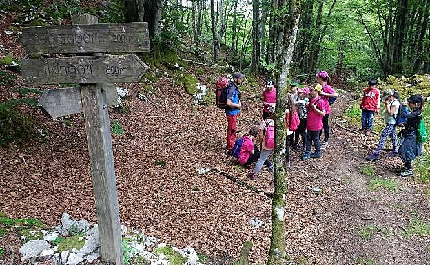 Un grupo de niños se dispone a adentrarse en Itxina para conocer sus secretos.
