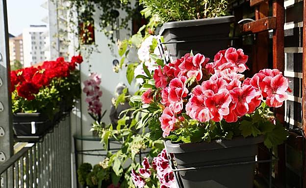 Imagen principal - El balcon decorado de Roberto Gutiérrez