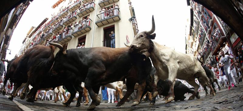 Fotos: Segundo encierro de San Fermín muy veloz y limpio de los toros de Cebada Gago